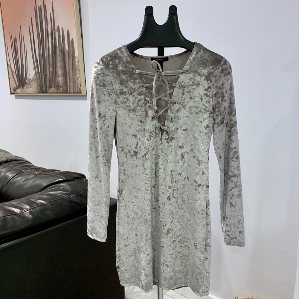 Forever 21 • Silver Velvet Dress
